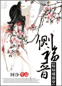 （BG-综清穿同人）[综清穿]侧福晋